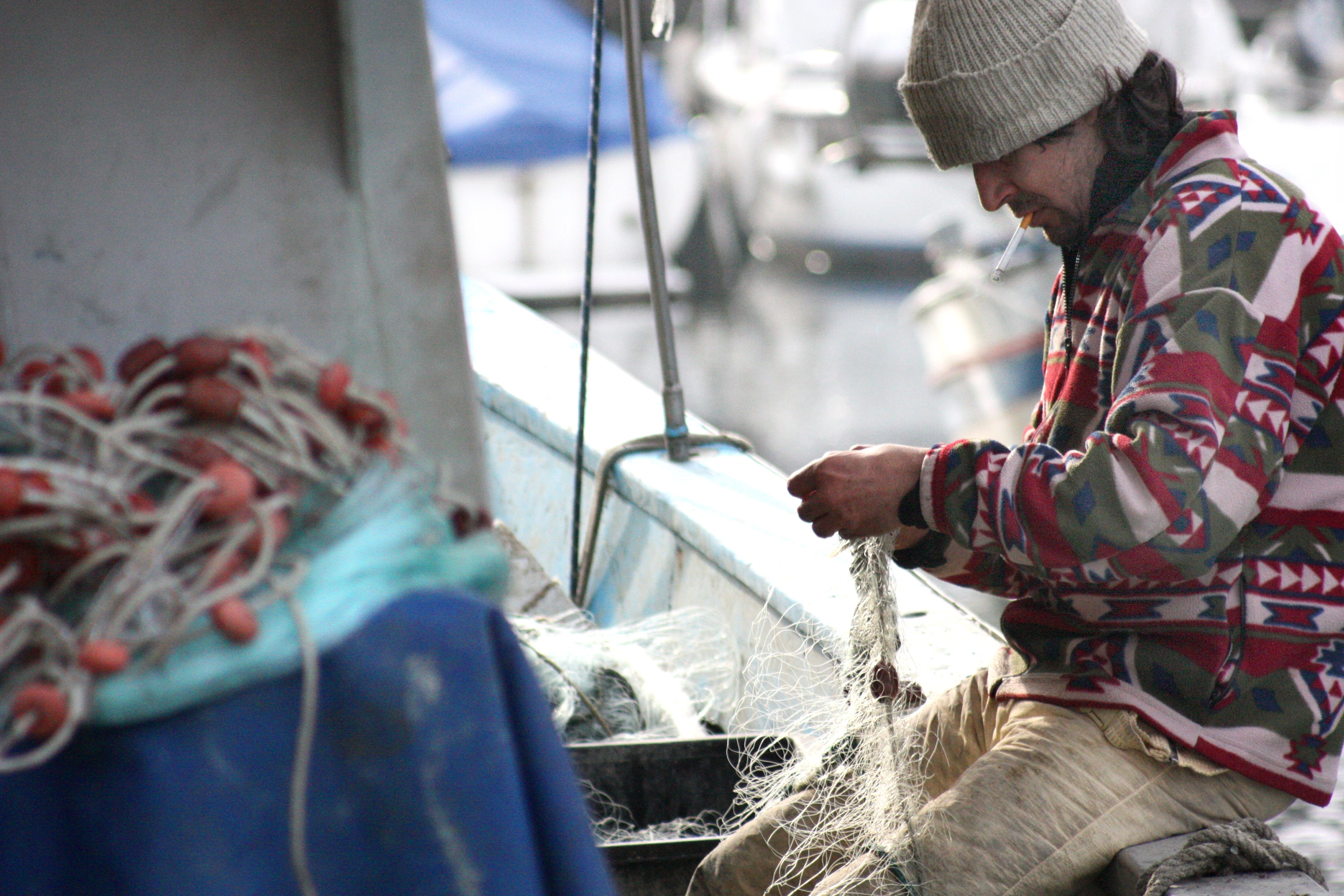 Flere og flere SMV’er eksporterer til Italien: italienerne elsker fisk fra Thy